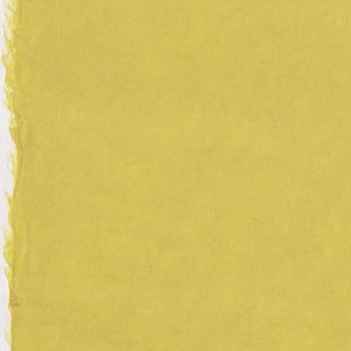 Hand Made Korean Hanji Paper- French's Mustard 25x37" Sheet Hand Made Korean Hanji Paper- French's Mustard 25x37" Sheet