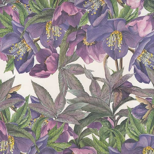Tassotti Paper- Blue Helleboro 19.5x27.5 Inch Sheet Tassotti Paper - Blue Helleboro 19.5x27.5 Inch Sheet