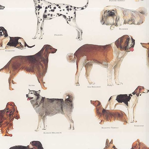 Tassotti Paper- Dogs 19.5x27.5 Inch Sheet Tassotti Paper - Dogs 19.5x27.5 Inch Sheet