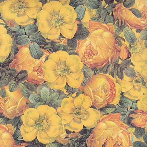Tassotti Paper- Yellow Roses 19.5x27.5 Inch Sheet Tassotti Paper - Yellow Roses 19.5x27.5 Inch Sheet