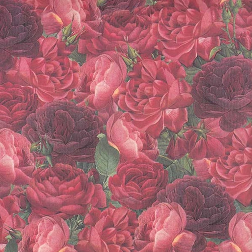 Tassotti Paper- Red Roses 19.5x27.5 Inch Sheet Tassotti Paper - Red Roses 19.5x27.5 Inch Sheet
