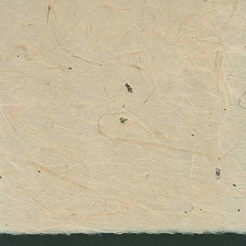 Tokushi Gampi #52 Tokushi Gampi #52 25x37 Inch Sheet