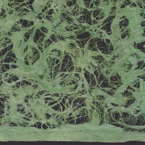 Amate Bark Paper from Mexico- Lace Verde Fuerte 15.5x23 Inch Sheet Amate Bark Paper from Mexico- Lace Verde Fuerte 15.5x23 Inch Sheet