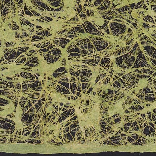 Amate Bark Paper from Mexico- Lace Verde Seca 15.5x23 Inch Sheet Amate Bark Paper from Mexico- Lace Verde Seca 15.5x23 Inch Sheet