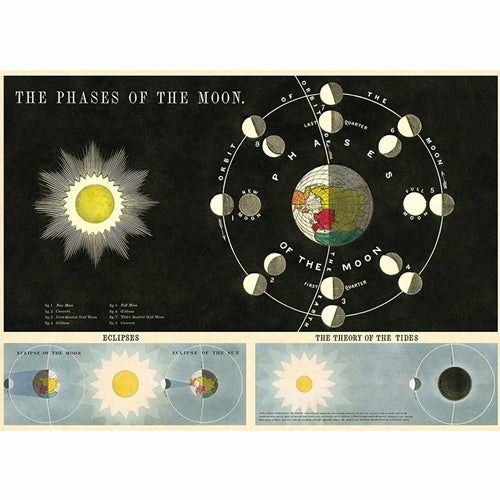 Cavallini Decorative Paper- Phases of the Moon 20"x28" Sheet Cavallini Decorative Paper- Phases of the Moon 20"x28" Sheet