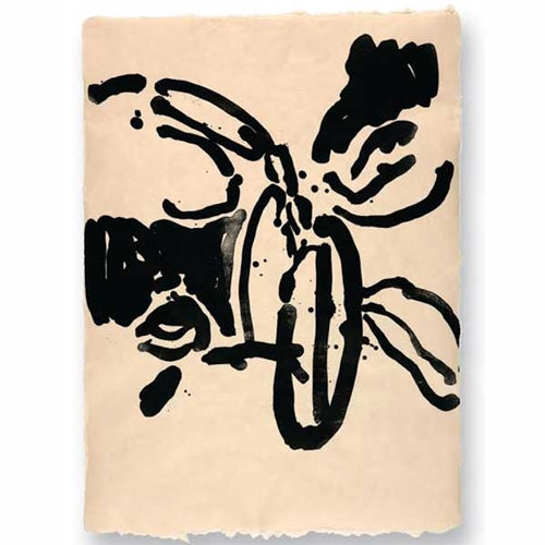 Awagami Editioning Papers from Japan- Kitakata Select 17"x20.5" Awagami Editioning Papers from Japan- Kitakata Select