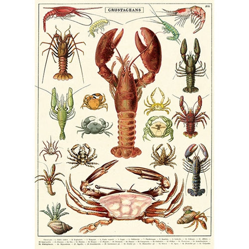 Cavallini Decorative Paper - Crustaceans 20"x28" Sheet Cavallini Decorative Paper - Crustaceans 20"x28" Sheet