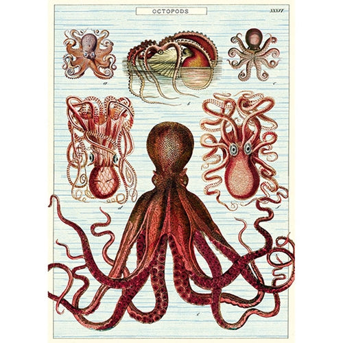 Cavallini Decorative Paper - Octopods 20"x28" Sheet Cavallini Decorative Paper - Octopods 20"x28" Sheet