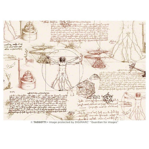 Tassotti Paper- Leonardo 19.5" x 27.5" Tassotti Paper- Leonardo 19.5" x 27.5"