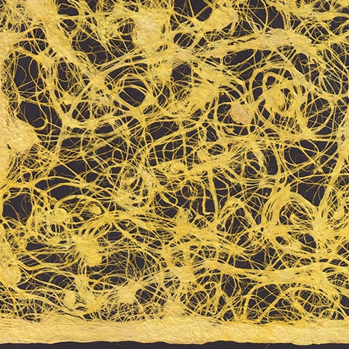 Amate Bark Paper from Mexico - Lace Amarillo Yellow 15.5x23 Inch Sheet Amate Bark Paper from Mexico - Lace Amarillo Yellow 15.5x23 Inch Sheet Previous