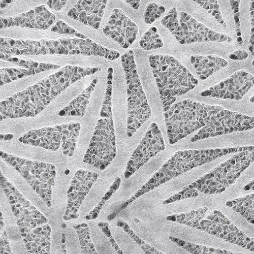 Thai Lace Paper- Bamboo Leaves White 25x37 Inch Sheet Thai Lace Paper- Bamboo Leaves White 25x37 Inch Sheet