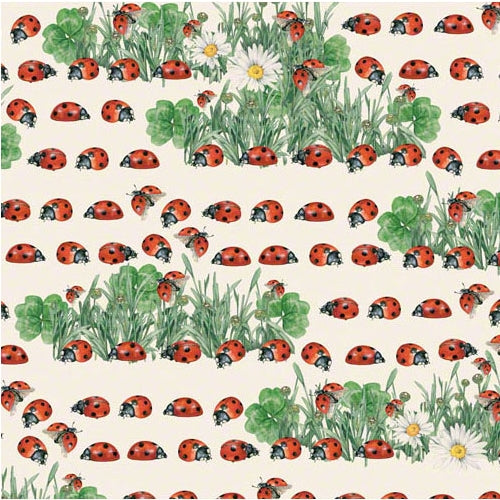 Tassotti Paper - Coccinelle 19.5" x 27.5" Sheet