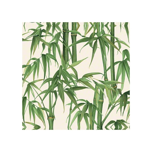 Tassotti Paper - Bambu 19.5" x 27.5" Sheet