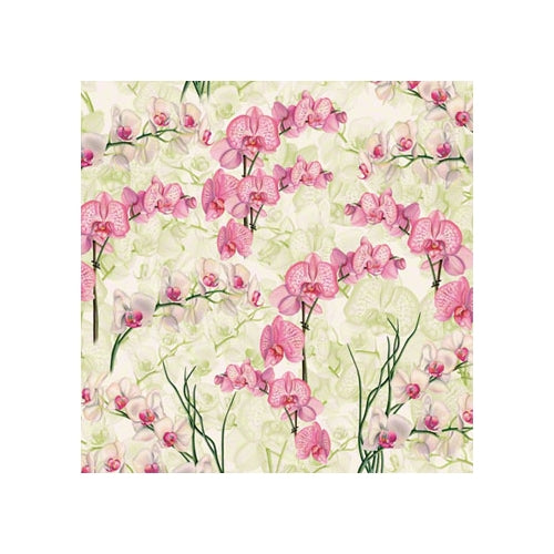 Tassotti Paper - Orchidea 19.5" x 27.5" Sheet
