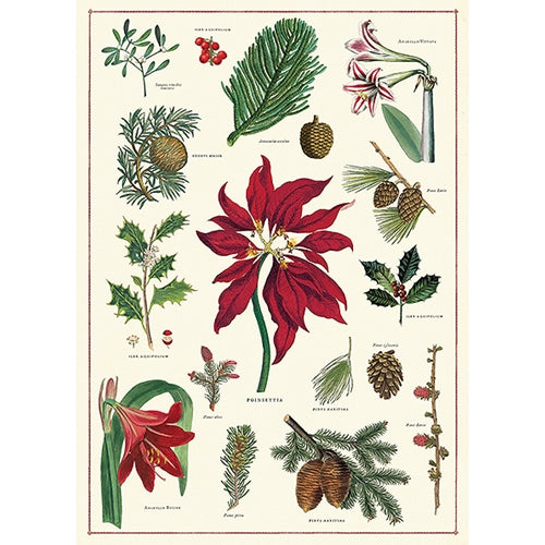Cavallini Decorative Paper- Christmas Botanical 20x28" Sheet Cavallini Decorative Paper- Christmas Botanical 20x28" Sheet