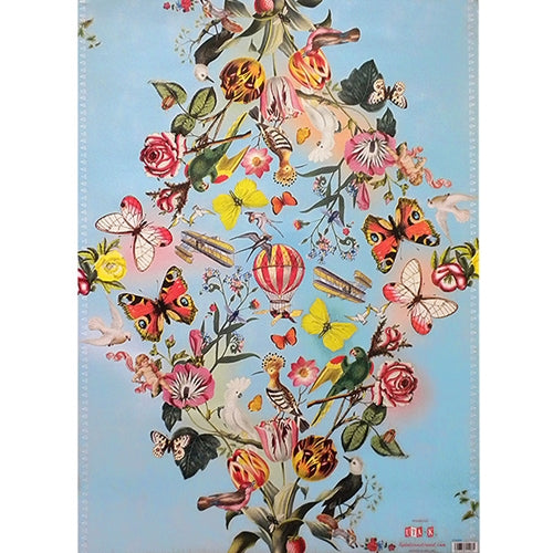 Birds View- Poster Paper 20 x 27" Sheet  Birds View- Poster Paper 20 x 27" Sheet