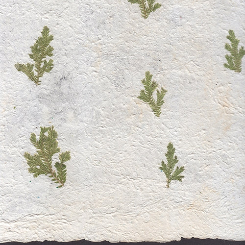 Amate Bark Paper from Mexico - Solid Blanco Pine 15.5x23 Inch Sheet Amate Bark Paper from Mexico - Solid Blanco Pine 15.5x23 Inch Sheet