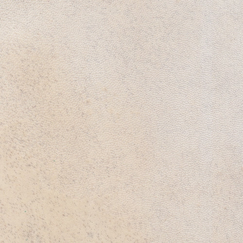 Natural Animal Skin Parchment- Goat 8x10 Inch Sheets Natural Animal Skin Parchment- Goat 8x10 Inch Sheets