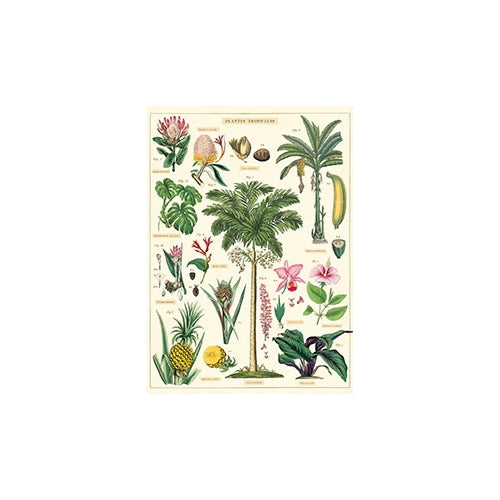 Cavallini Decorative Paper - Tropical Plants 20"x28" Sheet