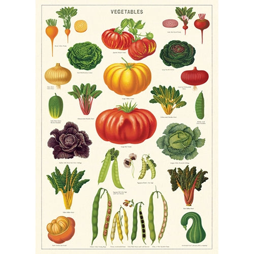 Cavallini Decorative Paper - Vegetable Garden 20"x28" Sheet