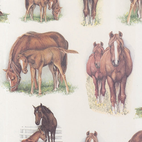 Tassotti Paper - Horses 19.5"x27.5" Sheet Tassotti Paper - Horses 19.5"x27.5" Sheet