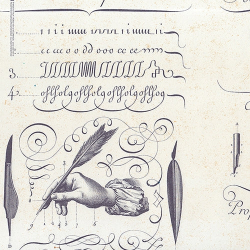Rossi Decorated Papers from Italy - Calligraphy Exercises 28"x40" Sheet Rossi Decorated Papers from Italy - Calligraphy Exercises 28"x40" Sheet