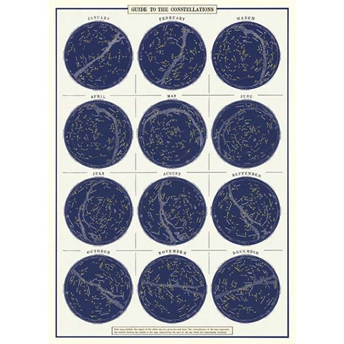 Cavallini Decorative Paper - Constellations 20"x28" Sheet Cavallini Decorative Paper - Constellations 20"x28" Sheet