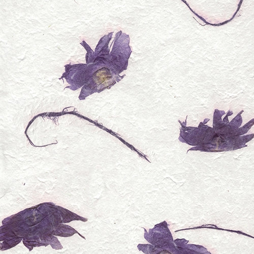 Thai â€œAngel Wingsâ€ Flying Seed â€“ Deep Violet 22x30" Sheet Thai â€œAngel Wingsâ€ Flying Seed â€“ Deep Violet 22x30" Sheet