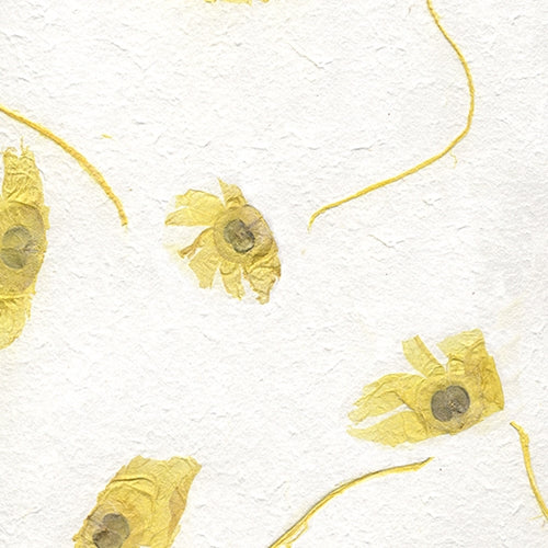 Thai â€œAngel Wingsâ€ Flying Seed â€“ Sunshine Yellow 22x30" Sheet Thai â€œAngel Wingsâ€ Flying Seed â€“ Sunshine Yellow 22x30" Sheet