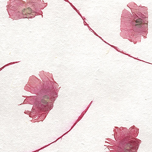 Thai â€œAngel Wingsâ€ Flying Seed â€“ Fuchsia 22x30" Sheet Thai â€œAngel Wingsâ€ Flying Seed â€“ Fuchsia 22x30" Sheet