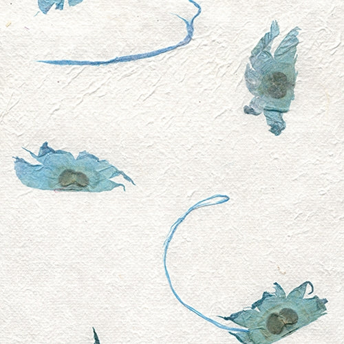 Thai â€œAngel Wingsâ€ Flying Seed â€“ Turquoise 22x30" Sheet Thai â€œAngel Wingsâ€ Flying Seed â€“ Turquoise 22x30" Sheet