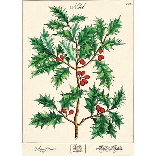 Cavallini Decorative Paper Wrap- Holly 20x28" Sheet Cavallini Decorative Paper Wrap- Holly 20x28" Sheet