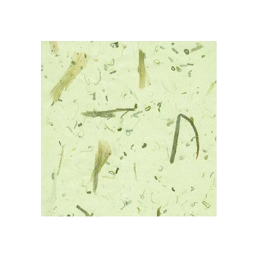 Green Onion Paper- 25x37 Inch Sheet Green Onion Paper- 25x37 Inch Sheet