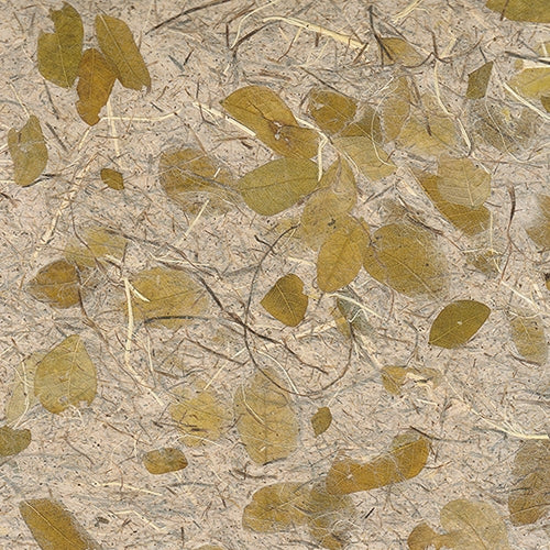 Raintree Leaf Paper- Dark Forest 25x37" Sheet Raintree Leaf Paper- Dark Forest 25x37" Sheet