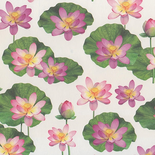 Tassotti Paper- Lotus Flower 19.5x27.5 Inch Sheet Tassotti Paper- Lotus Flower 19.5x27.5 Inch Sheet