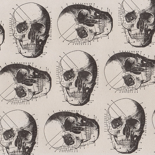 Rossi Limited Edition Letterpress Paper- Skulls 20x28" Sheet Rossi Limited Edition Letterpress Paper- Skulls 20x28" Sheet