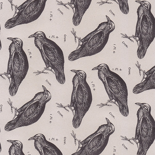 Rossi Limited Edition Letterpress Paper- Black Crows 20x28" Sheet Rossi Limited Edition Letterpress Paper- Black Crows 20x28" Sheet
