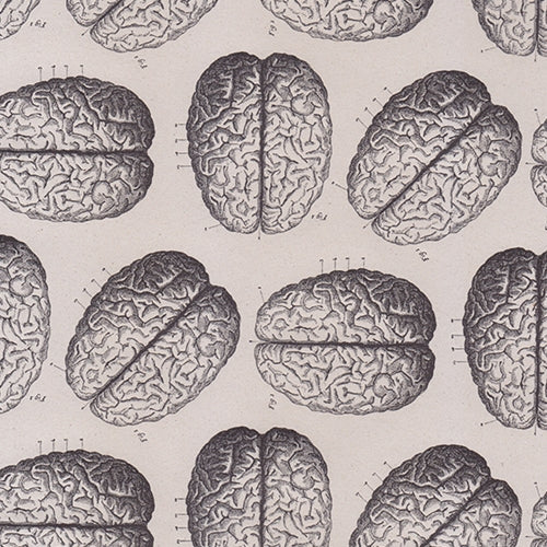 Rossi Limited Edition Letterpress Paper- Brains 20x28" Sheet Rossi Limited Edition Letterpress Paper- Brains 20x28" Sheet