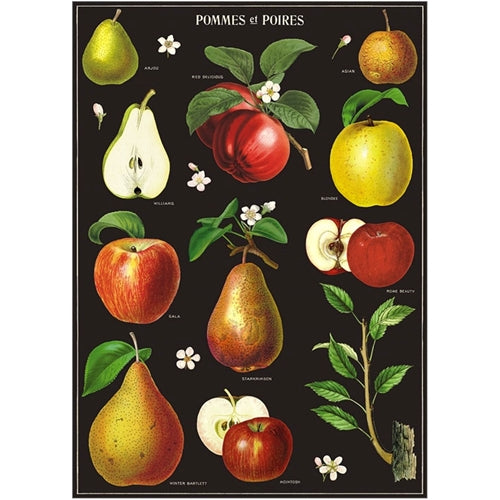Cavallini Decorative Paper - Apples & Pears 20"x28" Sheet *NEW!* Cavallini Decorative Paper - Apples & Pears 20"x28" Sheet