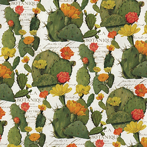 Italian Florentine Printed Paper- Opuntia (Prickly Pear Cactus) 27x36" Sheet Italian Florentine Printed Paper- Opuntia (Prickly Pear Cactus) 27x36" Sheet