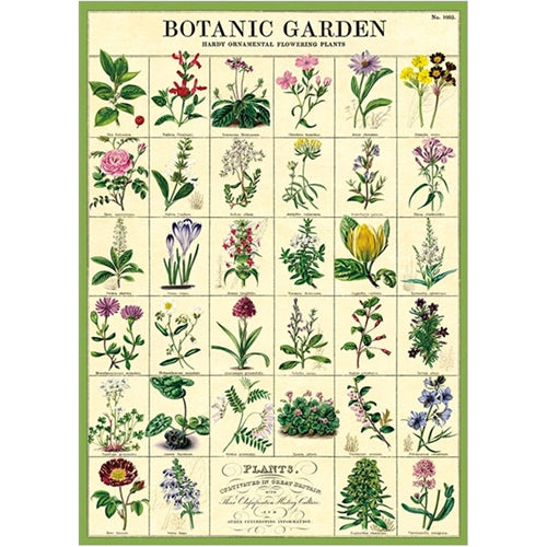 Cavallini Decorative Paper - Botanica Garden 20"x28" Sheet Cavallini Decorative Paper - Botanica Garden 20"x28" Sheet