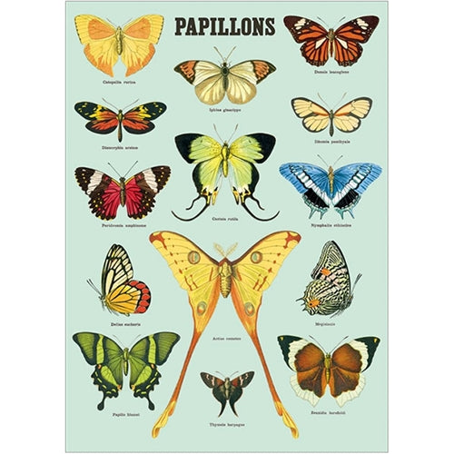 Cavallini Decorative Paper - Papillons 20"x28" Sheet *NEW!* Cavallini Decorative Paper - Papillons 20"x28" Sheet