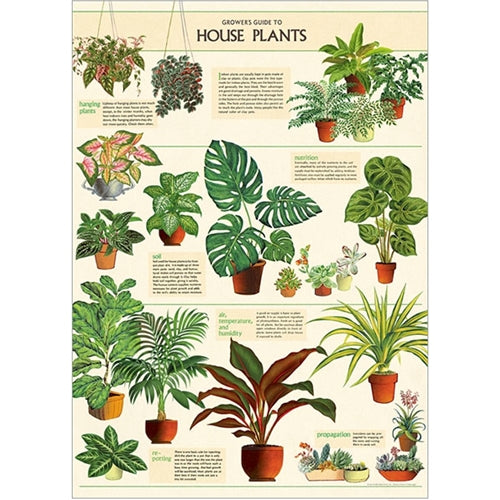 Cavallini Decorative Paper - House Plants 20"x28" Sheet *NEW!* Cavallini Decorative Paper - House Plants 20"x28" Sheet