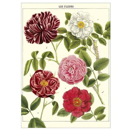 Cavallini Decorative Paper - Les Fleurs 20"x28" Sheet Cavallini Decorative Paper - Les Fleurs 20"x28" Sheet