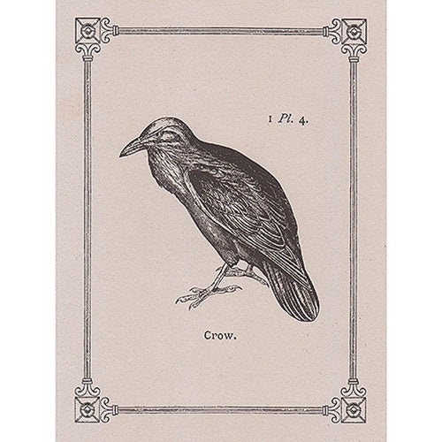 Rossi Limited Edition Letterpress Gift Card- The Crow Rossi Limited Edition Letterpress Gift Card- The Crow