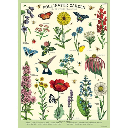 Cavallini Decorative Paper - Pollinators 20"x28" Sheet *NEW!* Cavallini Decorative Paper - Pollinators 20"x28" Sheet