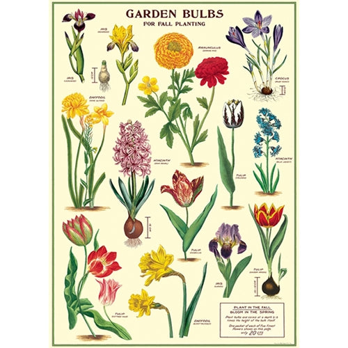 Cavallini Decorative Paper - Garden Bulbs 20"x28" Sheet Cavallini Decorative Paper - Garden Bulbs 20"x28" Sheet