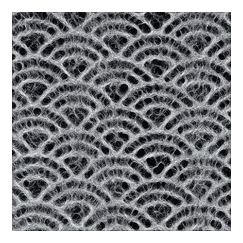 Thai Lace White Seashell - 25"x37" Sheet Thai Lace White Seashell - 25"x37" Sheet