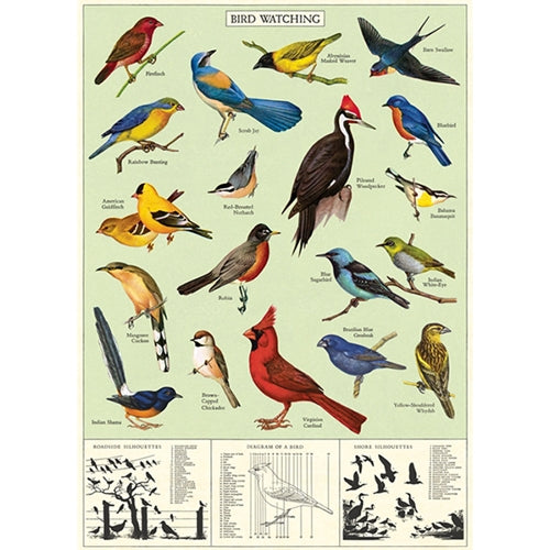 Cavallini Decorative Paper - Study of Birds 20"x28" Sheet Cavallini Decorative Paper - Study of Birds 20"x28" Sheet