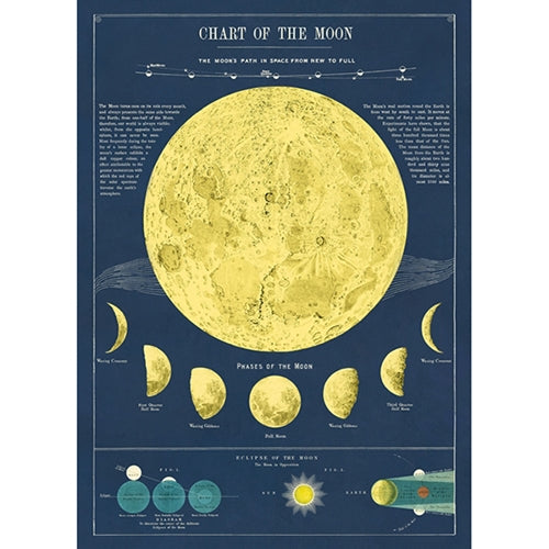 Cavallini Decorative Paper - Moon Chart 20"x28" Sheet  **NEW!** Cavallini Decorative Paper - Moon Chart 20"x28" Sheet